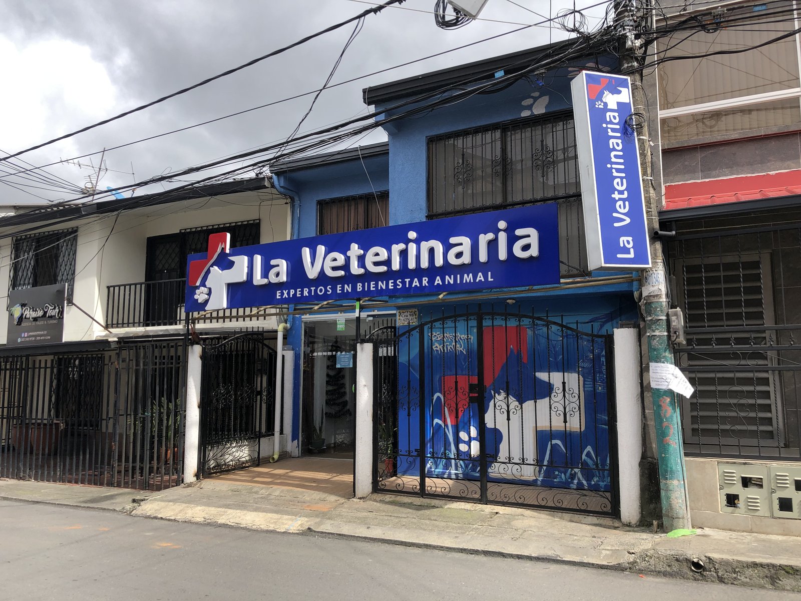 Veterinaria atendiendo mascota