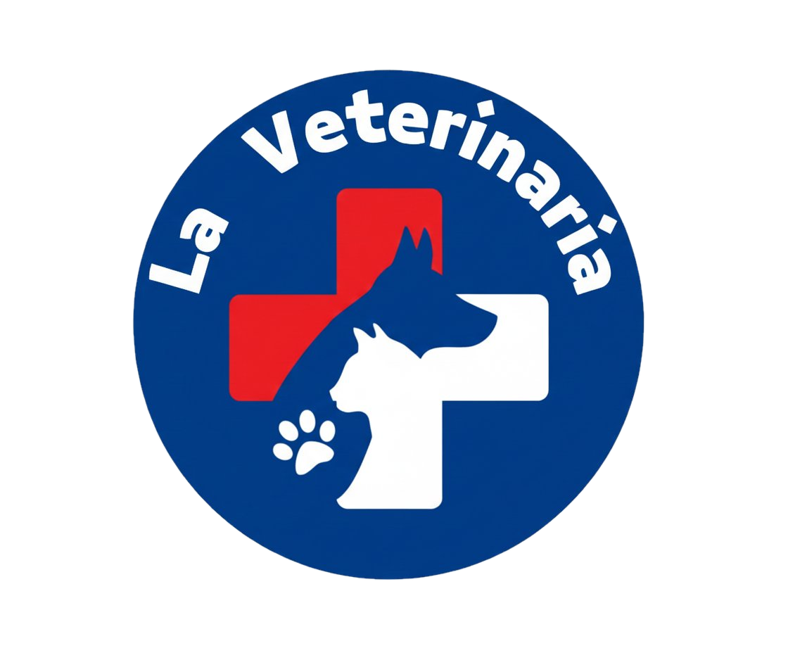 La veterinaria q2